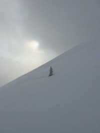 a skier on a snow covered slope with a tree in the background